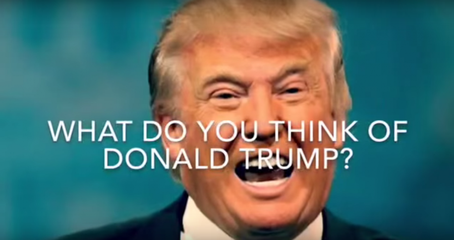 What+do+you+think+of+Donald+Trump%3F