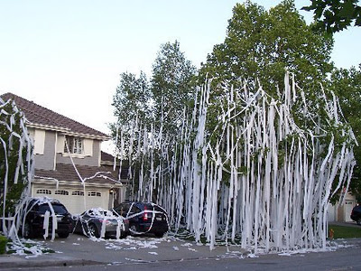 My House Was Wrapped in UCLA Toilet Paper Three Times During April  