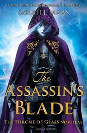 Book Review: The Assassins Blade