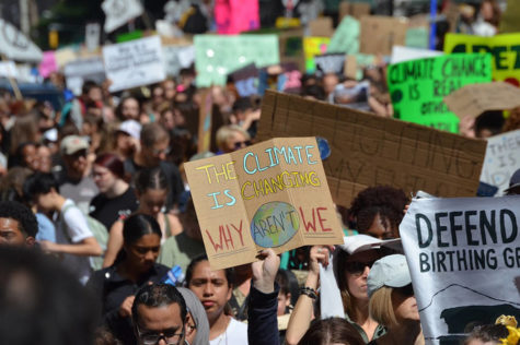 The Climate Strike in Less Than 850 Words