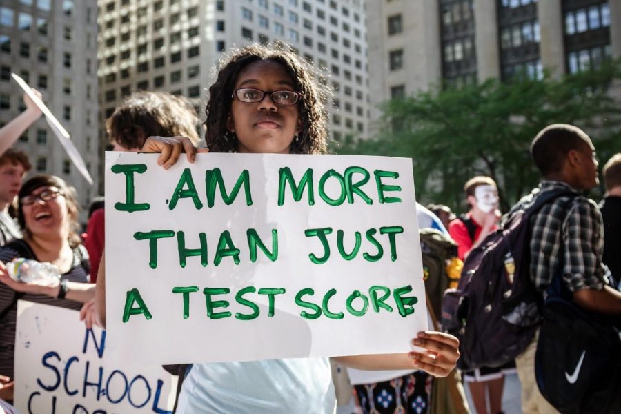 Standardized Testing as a Measure of Wealth