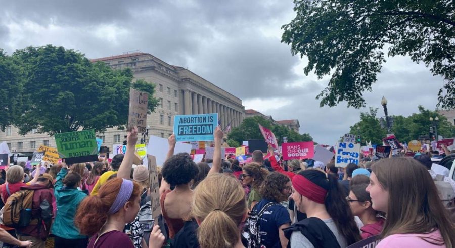 My Experience at the Bans Off Our Bodies Rally