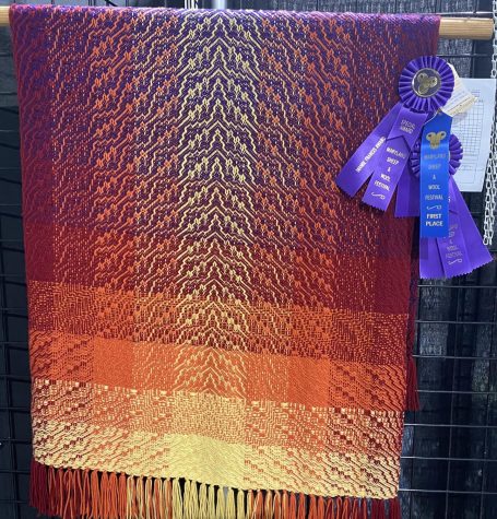 Woven blanket with purple to orange gradient. 2 purple awards and 1 blue award hang from the side.