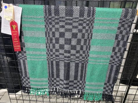Green, black, and grey checkered blanket with red ribbon attached.