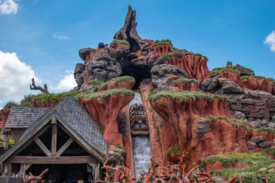 People enjoying Splash Mountain in Magic Kingdom at Walt Disney World. VIAVAL/ALAMY STOCK PHOTO