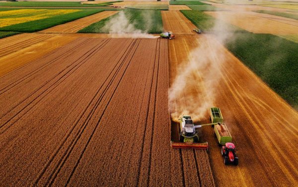 Climate conscious eating is harder than it seems