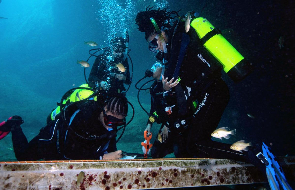 Under the sea: a daughter’s dive into scuba with her dad